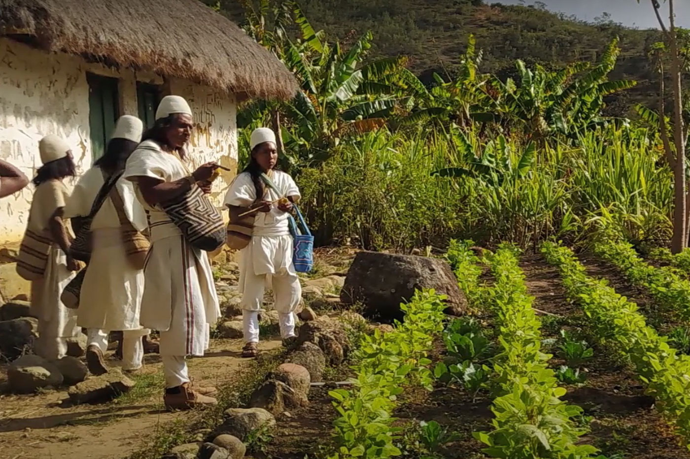 Cocinas sanadoras: un proyecto para vencer la malnutrición y empoderar a las mujeres en Valledupar, Colombia