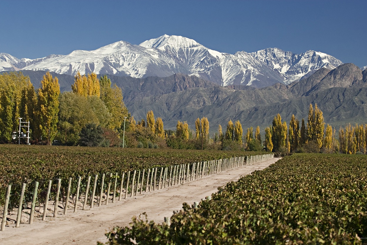 La “Tierra del Malbec” de Argentina relanzó su estrategia turística y cultural