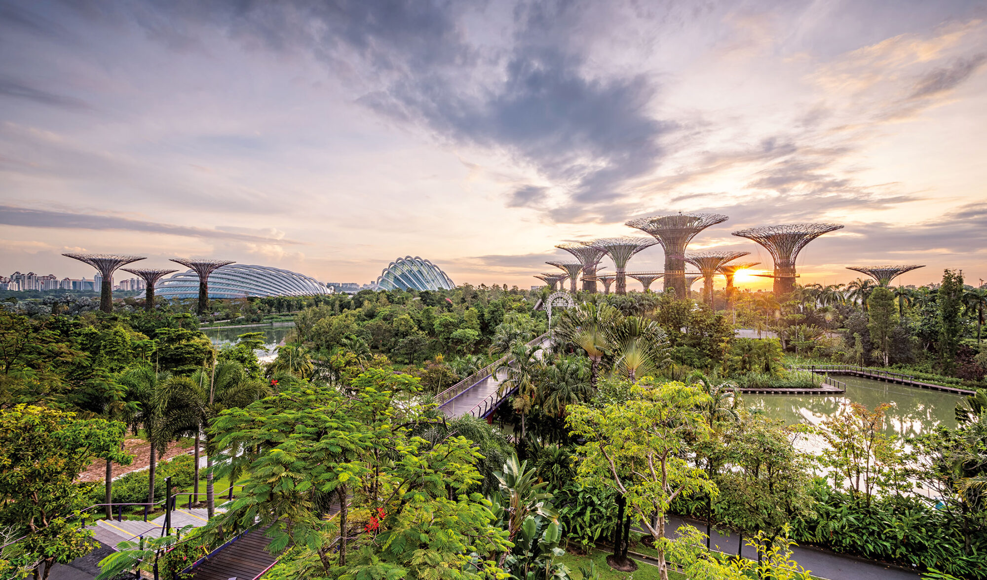 Ciudades biofílicas: la naturaleza integrada en los espacios urbanos