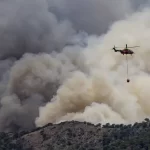 <span class='copete' style='font-size: 16px; display:inline-block; color: #666;font-weight:normal;'>ALMIRANTE BROWN, ARGENTINA</span><br>Incendios forestales: daños sin precedentes y lecciones aprendidas