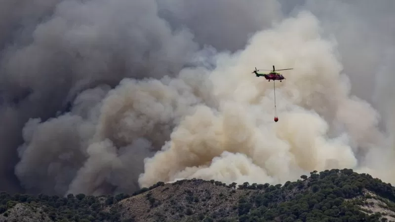 Incendios forestales: daños sin precedentes y lecciones aprendidas