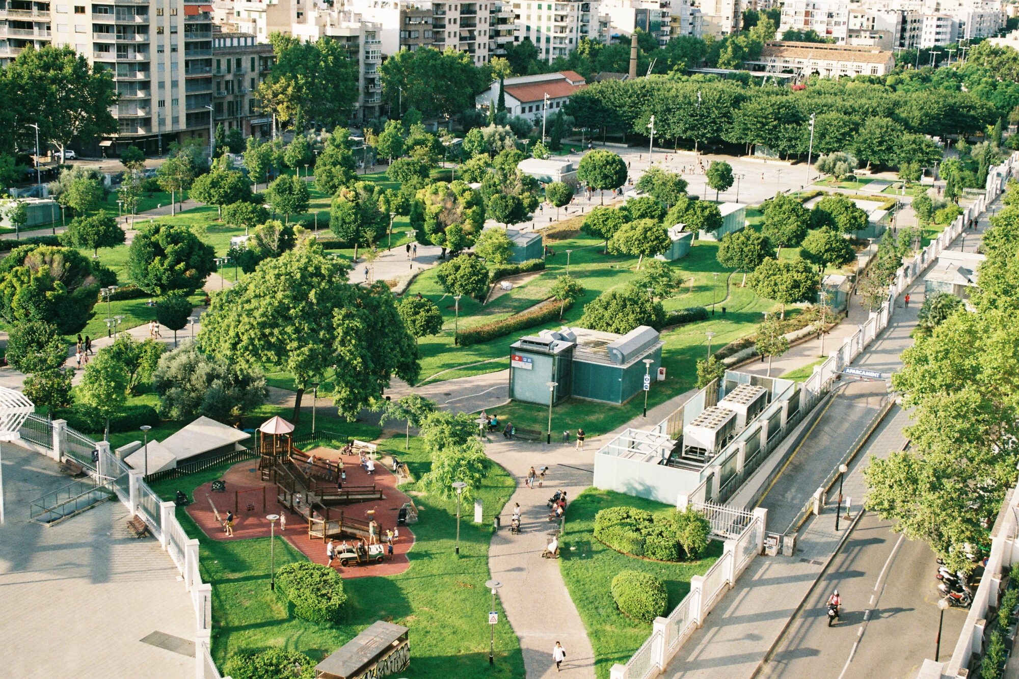 La importancia de la biodiversidad en las ciudades