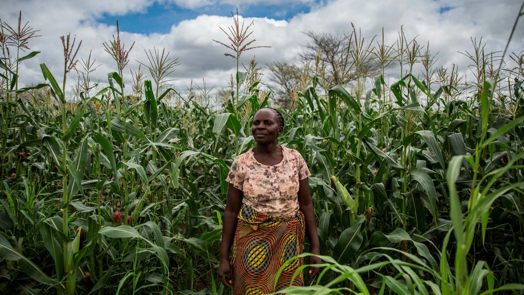 Trabajo en red para combatir la inseguridad alimentaria en una región africana golpeada por la violencia