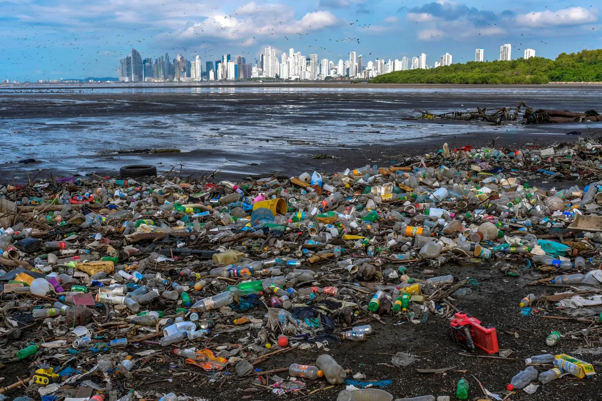 Reducir y eliminar los plásticos de un solo uso en las ciudades, una tarea posible