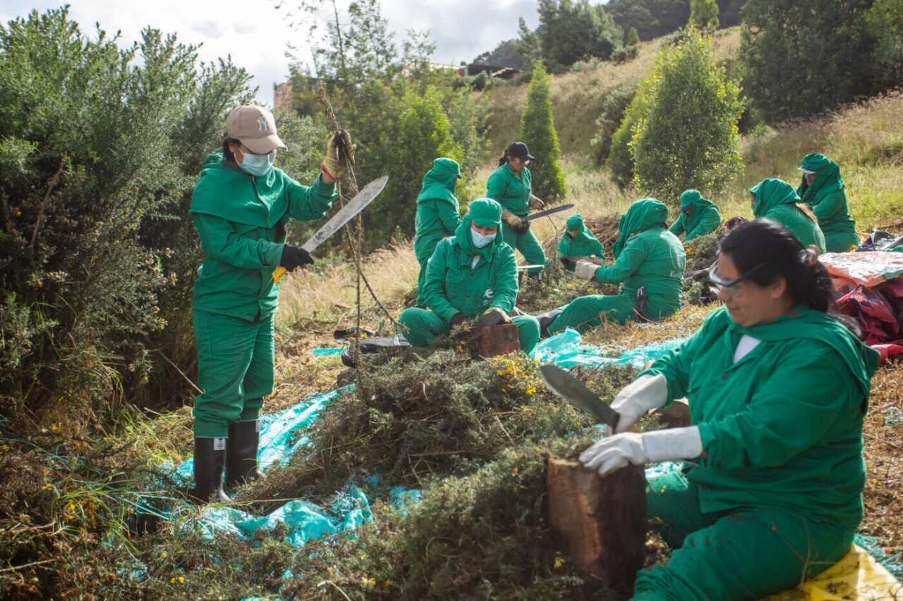 “Sembradoras por la ReactivAcción”: un puente entre la inclusión laboral femenina y la ecología