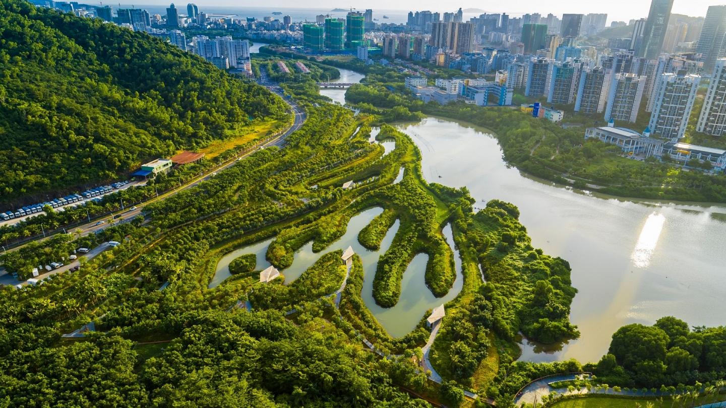 “Ciudades esponja”: una solución basada en la naturaleza para aprovechar cada gota de agua