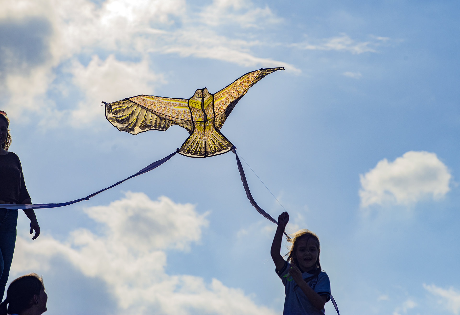 “Ciudad Dulce”: flores, abejas y colibríes para mejorar la calidad de vida urbana