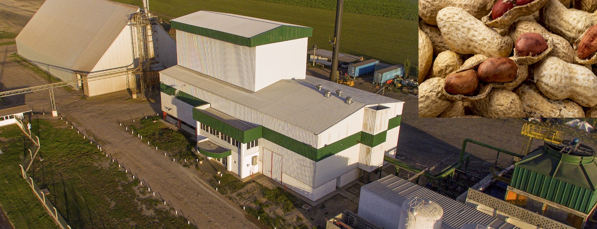 Del maní a la electricidad: la biomasa como fuente de energía renovable en las ciudades