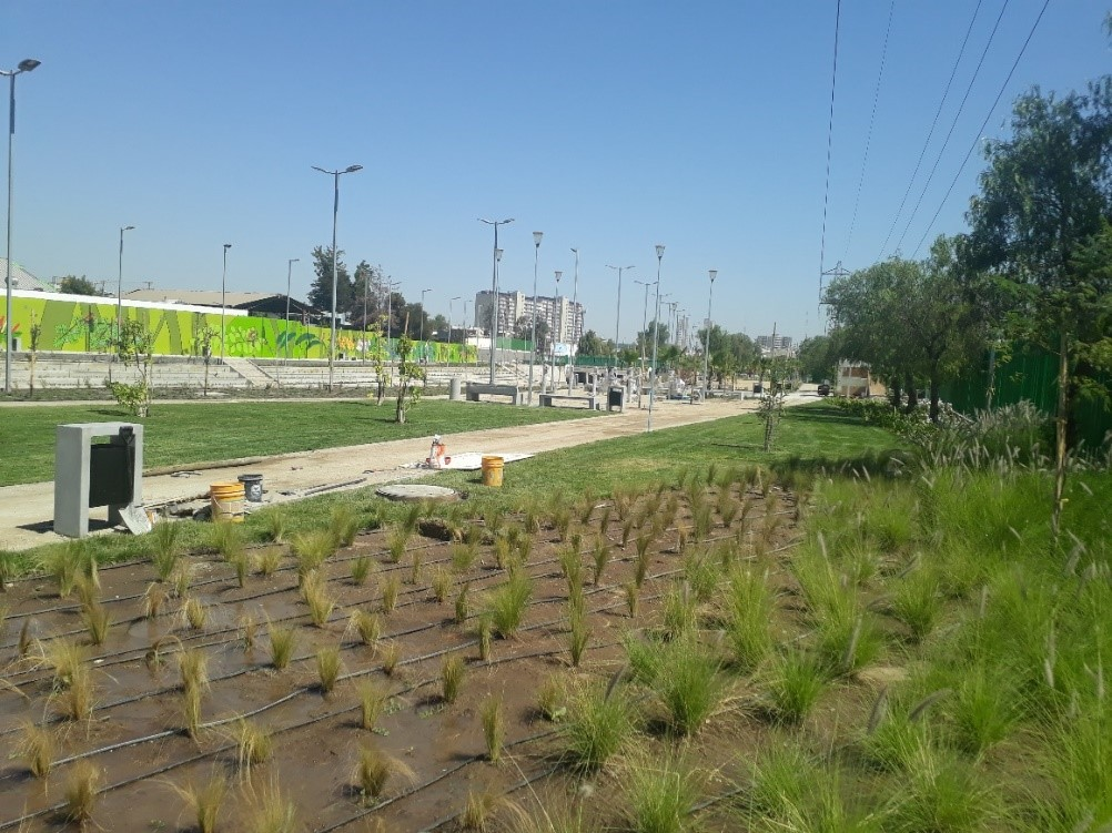 Aprovechar el agua en el parque inundable.