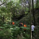 <span class='copete' style='font-size: 16px; display:inline-block; color: #666;font-weight:normal;'>MARACAIBO, VENEZUELA</span><br>Una red de bosques urbanos para aumentar el bienestar social y ambiental en la ciudad