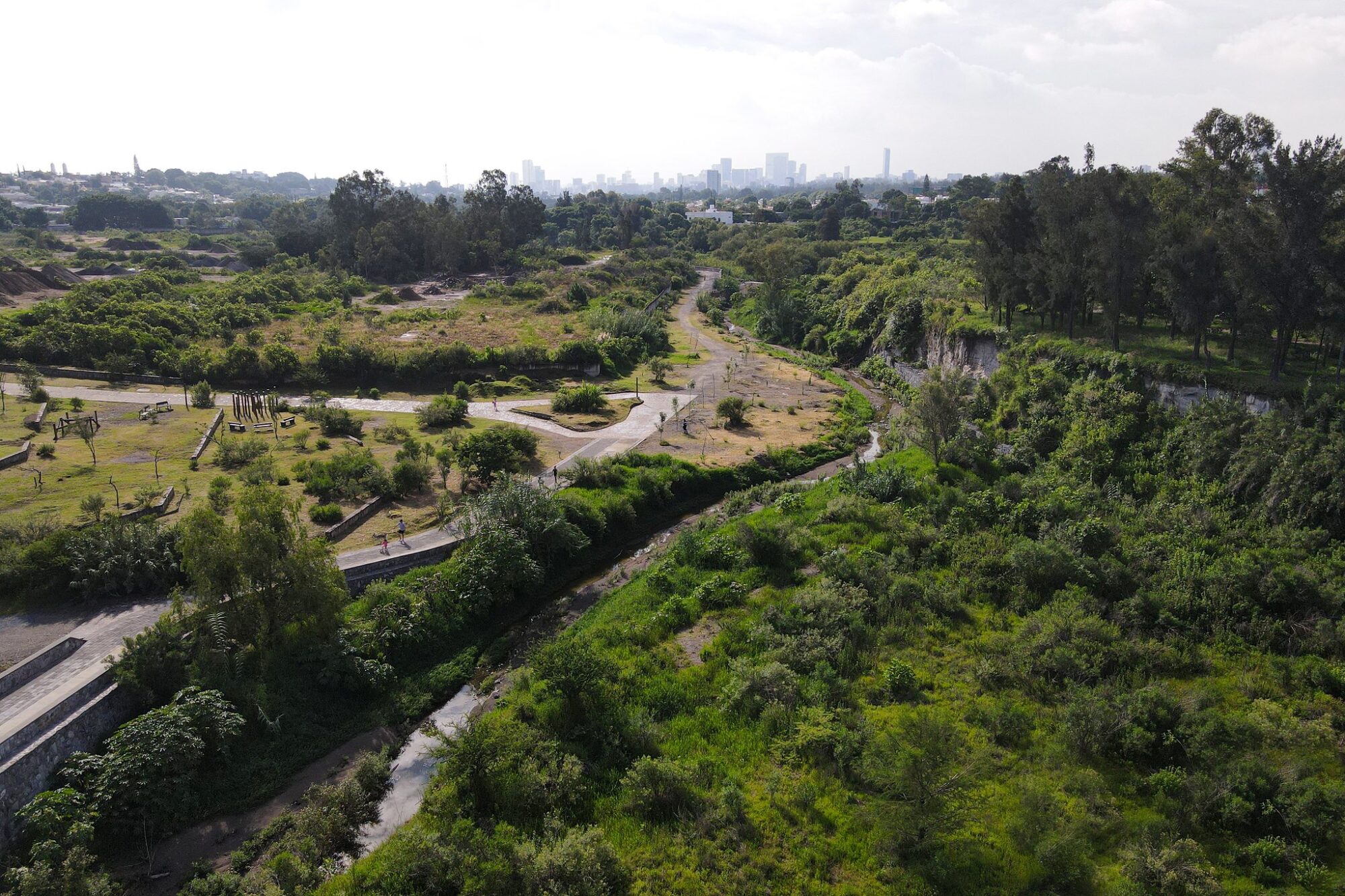 Una red de bosques urbanos para aumentar el bienestar social y ambiental en la ciudad