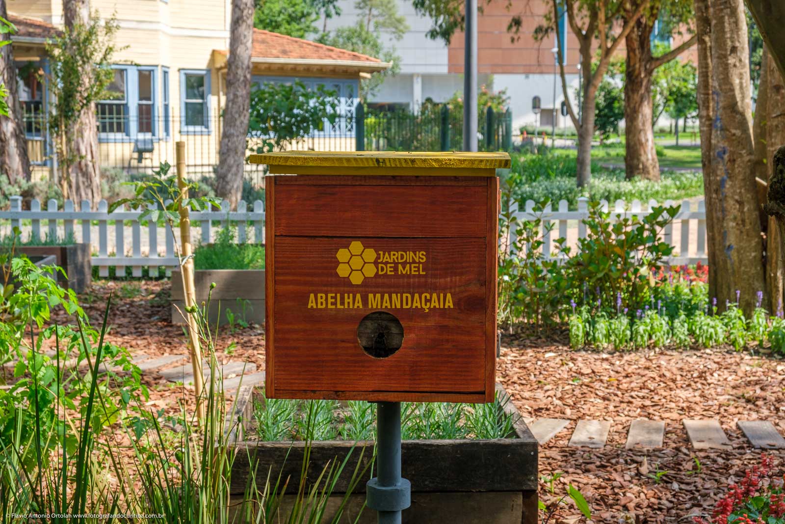 Calles y parques que protegen abejas nativas, las “guardianas” de la naturaleza y la biodiversidad