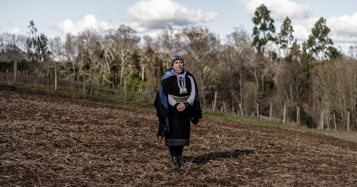 Una ruta emprendedora que invita a viajar entre la riqueza cultural y natural en el sur de Chile