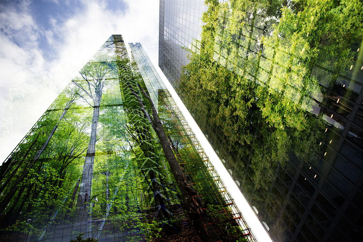 Biodiversidad. Ciudad verde.