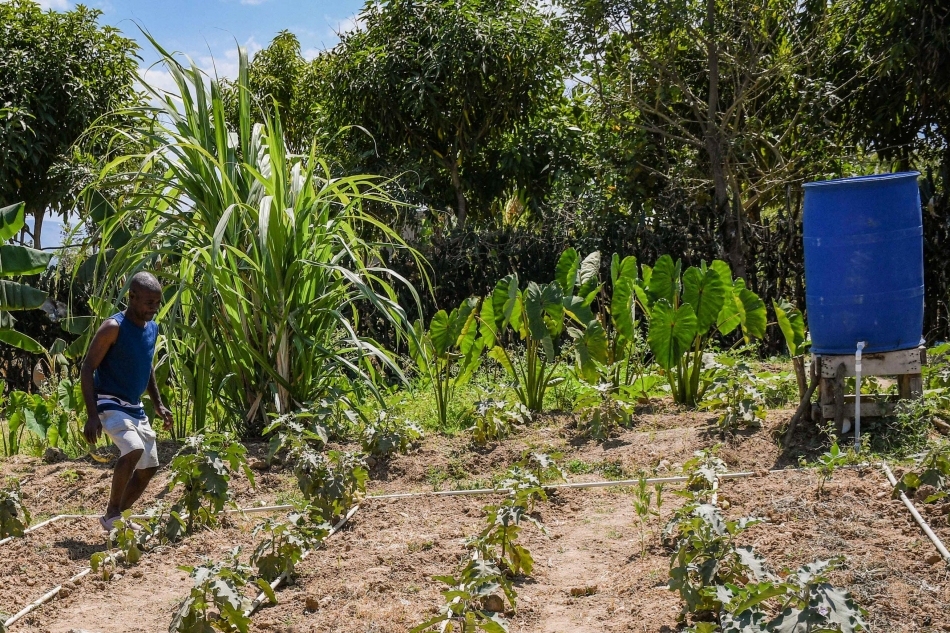 Frente al cambio climático, agricultores de Haití se reinventan con técnicas sencillas para gestionar mejor el agua