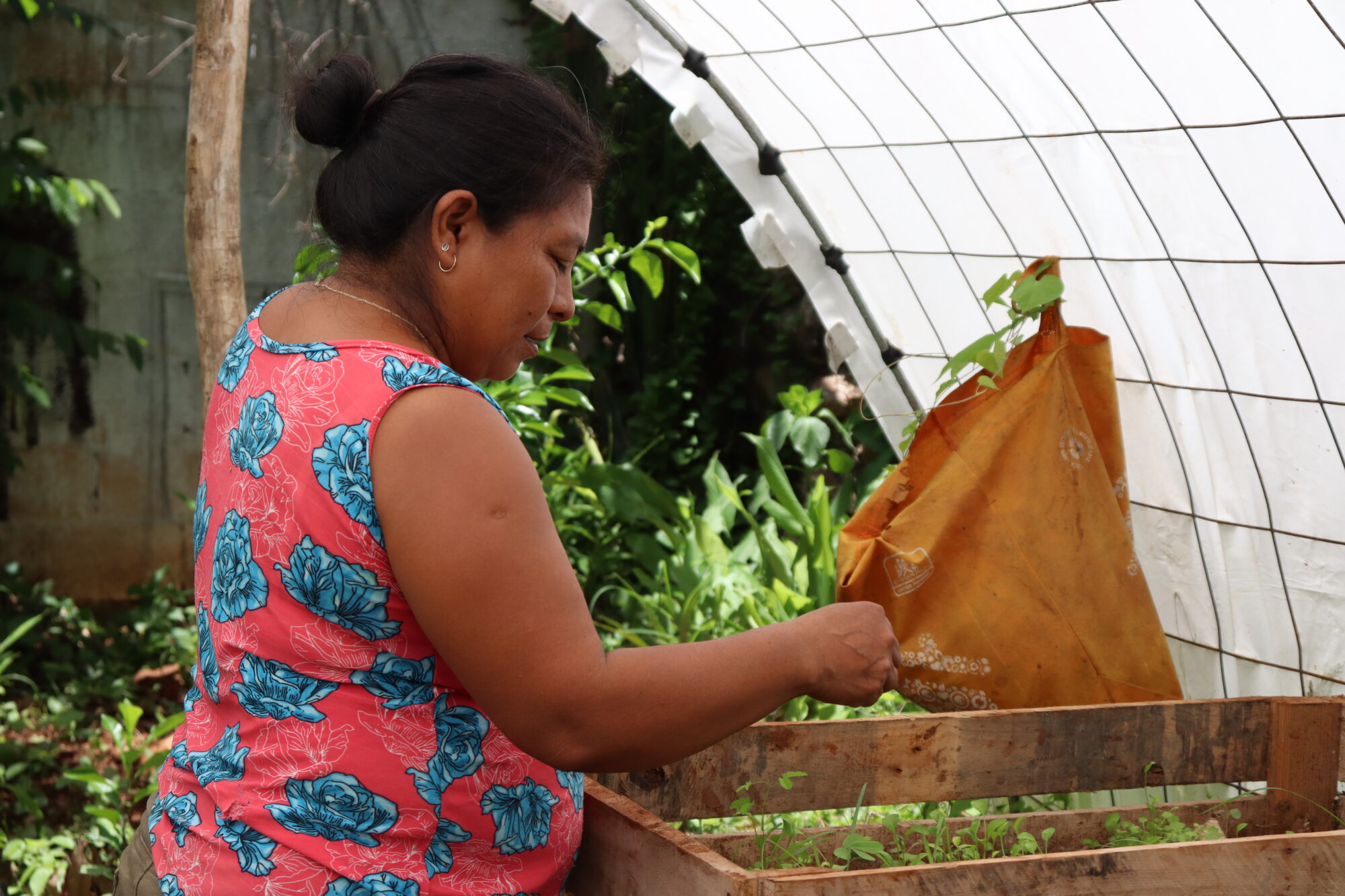 Un grupo de mujeres recupera huertos familiares para impulsar la economía local
