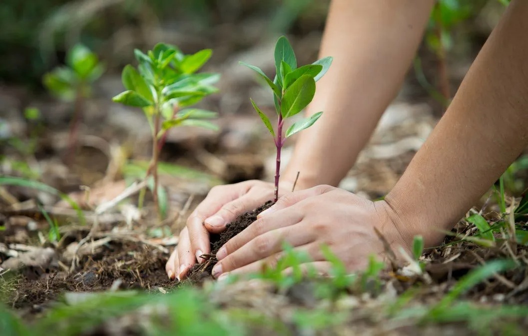 Tablero de Gestión Ambiental: una herramienta clave para desarrollar estrategias ambientales