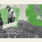 <span class='copete' style='font-size: 16px; display:inline-block; color: #666;font-weight:normal;'>BOLETÍN IDEAS & INSPIRACIÓN</span><br>Renca siembra futuro: una reforestación masiva que une a toda la comunidad