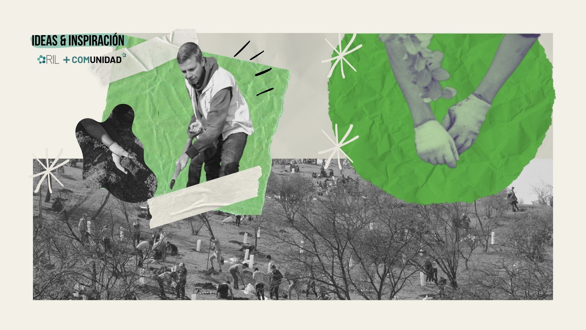 BOLETÍN IDEAS & INSPIRACIÓNRenca siembra futuro: una reforestación masiva que une a toda la comunidad